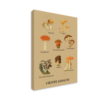 Obrazy z motywem roślinnym Stare rodzaje grzybów - TenStickers