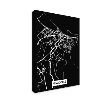 Newcastle Topographic Map city canvas prints - TenStickers
