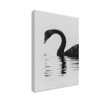 Black swan bird canvas wall art - TenStickers