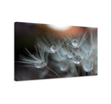 Tableau fleurs pissenlits - TenStickers