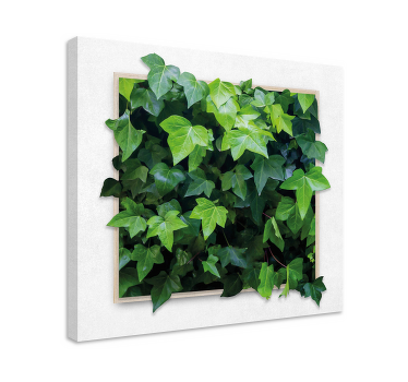 Tableau plantes jardin de lierre - TenStickers
