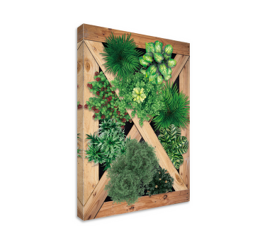 Tableau plantes jardin rustique - TenStickers