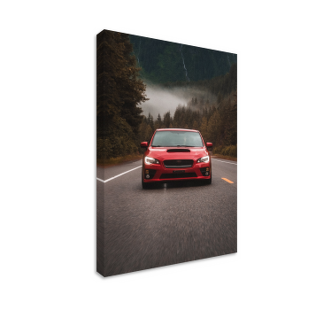 Party on the Road Canvas Print - TenStickers