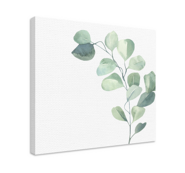 Cuadro plantas Eucaliptus - TenVinilo