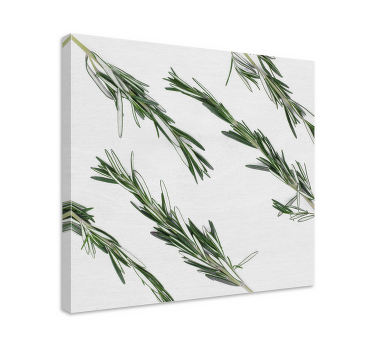 Cuadro cocina plantas Romero - TenVinilo