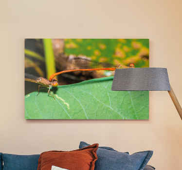 Lopšinių reprodukcijos laumžirgių drobė - „Tenstickers“