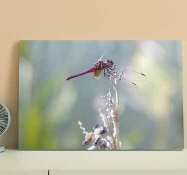 Delicate flower with dragonfly canvas - TenStickers