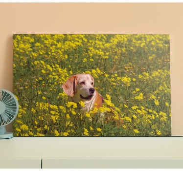 Câine așezat în flori pânză de flori - TenStickers