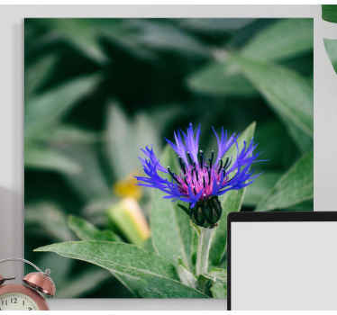 Ruiskaunokki luonnossa canvas taulu kukka - Tenstickers