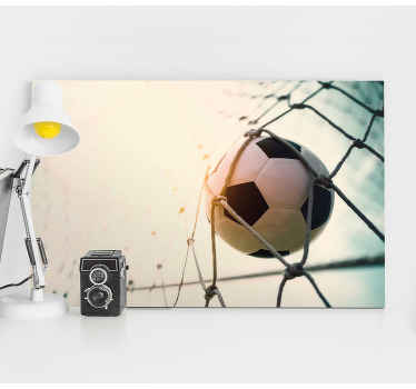 网鱼帆布足球 - TenStickers