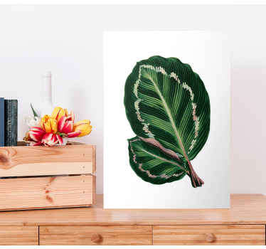 Cuadro de flores Hojas de maranta - TenVinilo