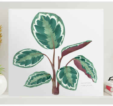 Calathea plante lærred udskrifter - TenStickers