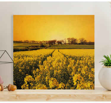 Leinwandbild Blume Gelbes blumenfeld - TenStickers