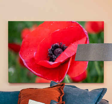 Tableau fleurs coquelicot en gros plan - TenStickers