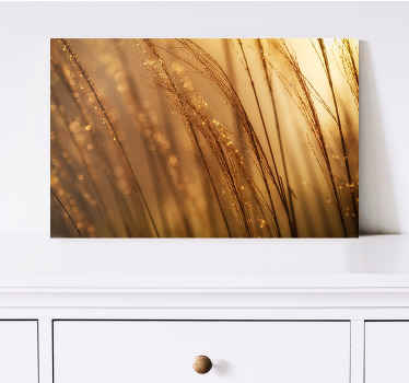 Leinwand Pflanzen Warmes pampasgras - TenStickers