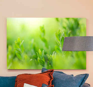 Primăvara verde deschis frunze peisaj pânză - TenStickers