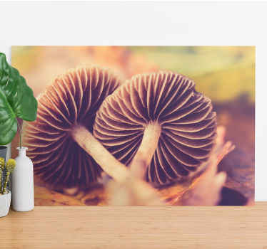 Maravilhosa tela evasiva de cogumelo rosa para iluminar sua sala! Super fácil de pendurar na parede, entrega expressa em seu endereço residencial!