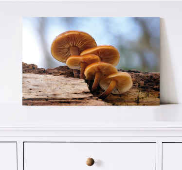 Kunst auf Leinwand Orangenschale waldpilz - TenStickers