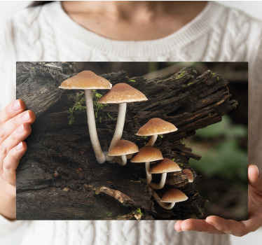 Quadro de arte Cogumelos no tronco de uma árvore - TenStickers