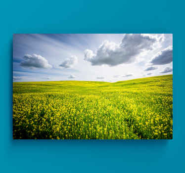 Yellow flower field landscape canvas - TenStickers