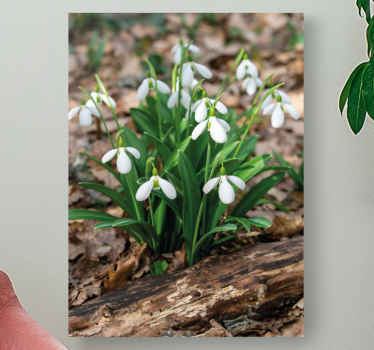 Ghiocei pădure peisaj flori pânză - TenStickers