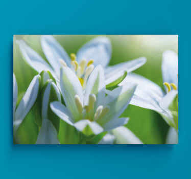 Leinwandbild Blume Wiese mit herrlichen schneeglöckchen - TenStickers