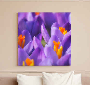 Cuadro de flores Flor de azafrán púrpura y naranja - TenVinilo