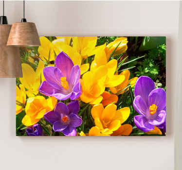 Leinwandbild Blume Wilder lila und gelber krokus - TenStickers