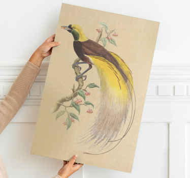 Exotic Perched bird canvas wall art - TenStickers