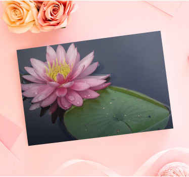 Elegant pink Nuphar flower canvas - TenStickers