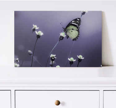 Cuadro mariposas Elegante diseño de flor de mariposa - TenVinilo