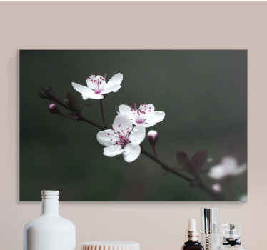 Cuadro de flores Elegante flor de cerezo femenina - TenVinilo