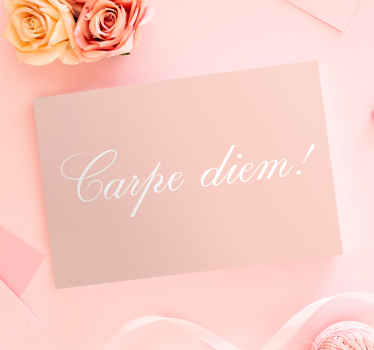 Cuadro frase motivadora Carpe diem letras delicadas - TenVinilo