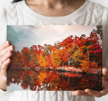 Cuadro paisajes Reflexión del lago del bosque de otoño - TenVinilo