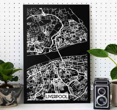 Liverpool Topographic Map city canvas prints - TenStickers