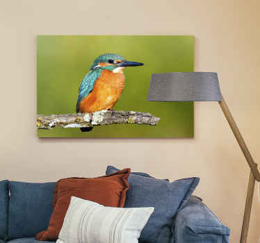 Kingfisher photo bird canvas prints - TenStickers