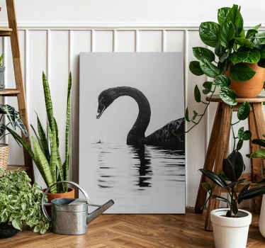 Black swan bird canvas wall art - TenStickers
