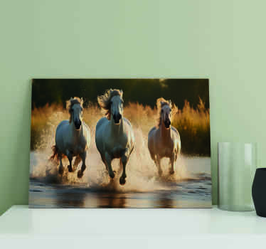 Hevoset juoksemassa canvas olohuoneeseen - Tenstickers