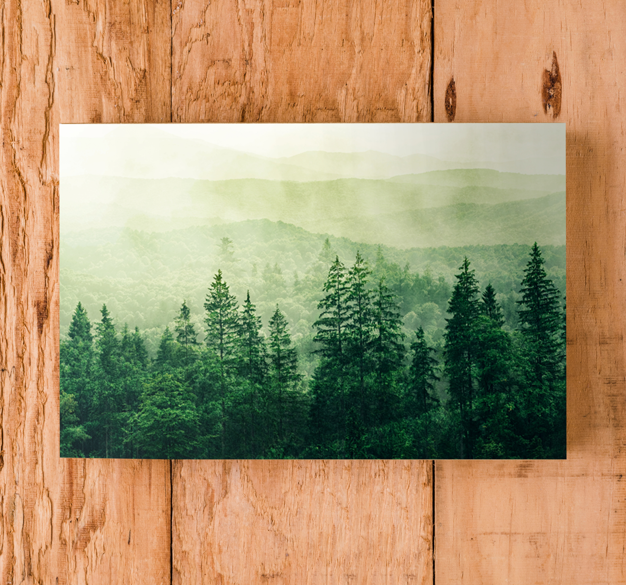 Cuadro de paisaje Bosque verde colina copas de los árboles