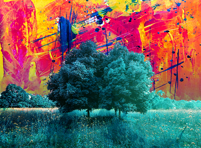 Quadro moderno Paesaggio colorato campo con alberi - TenStickers