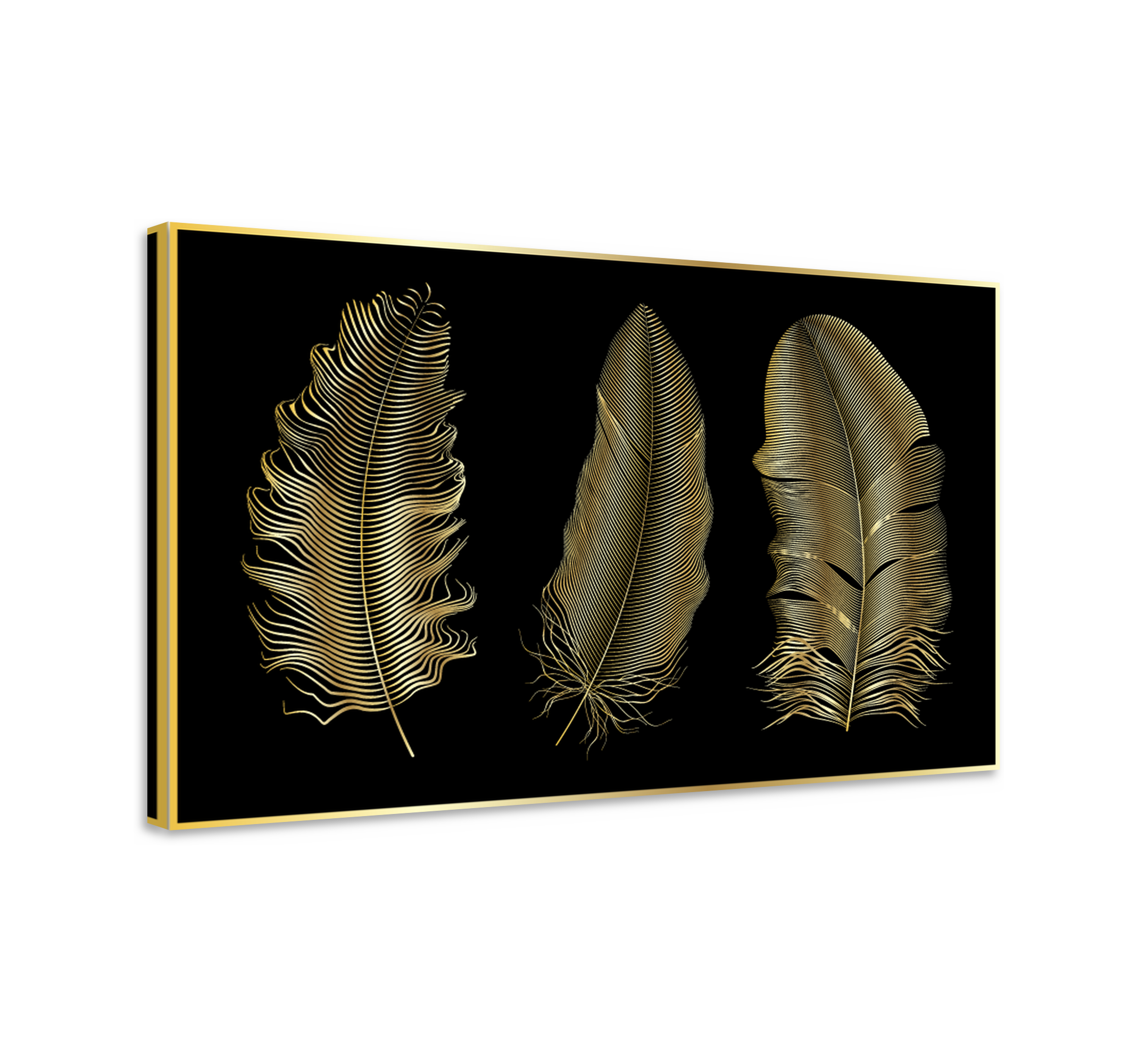 Conjunto de plumas doradas vector siluetas de plumas doradas sobre fondo  negro