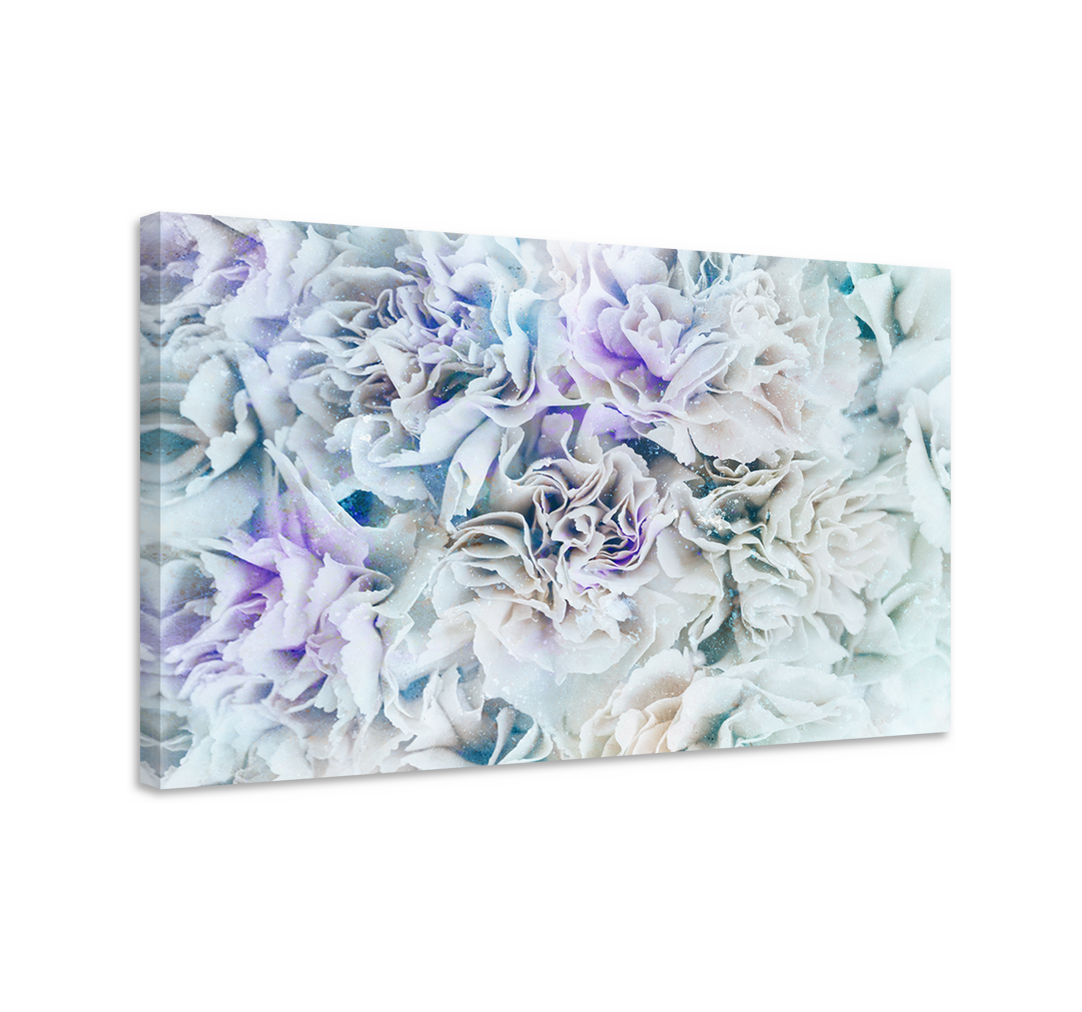 Elegantes flores blancas sophisticated canvas prints - TenStickers Elegantes flores blancas sophisticated canvas prints - TenStickers