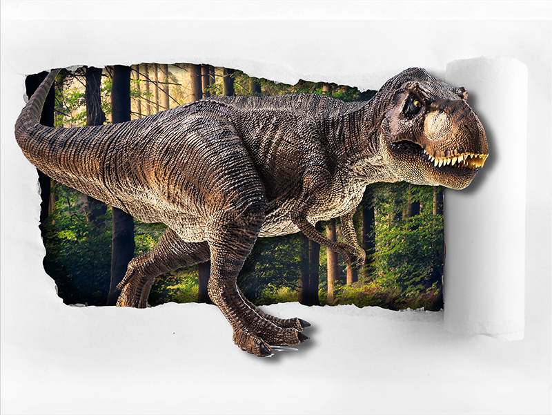 Adesivo dinossauro T-rex 3D - TenStickers