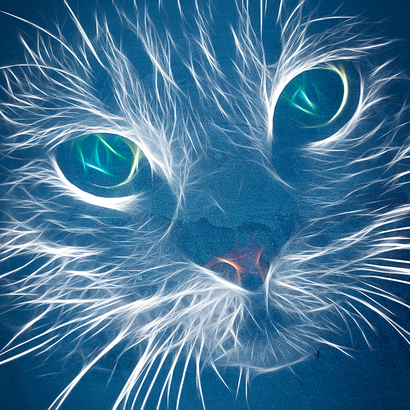 levenslang solo Correctie Canvas schilderij katten Blauwe abstracte kat - TenStickers