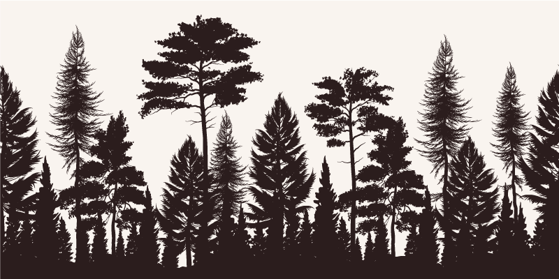 Cuadro de árboles Silueta del bosque - TenVinilo