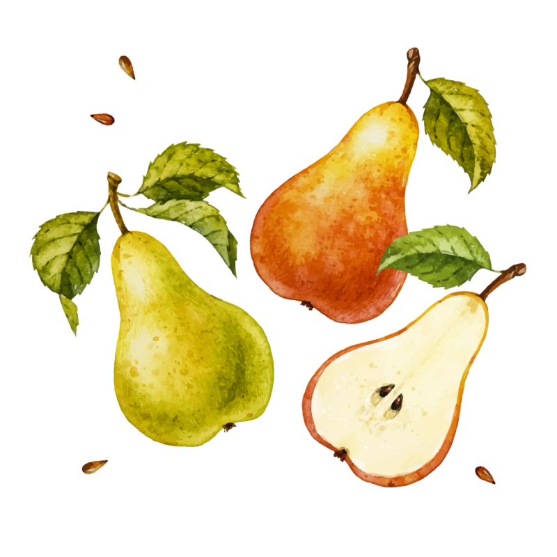 Pere galbene și fructe pânză artă - TenStickers