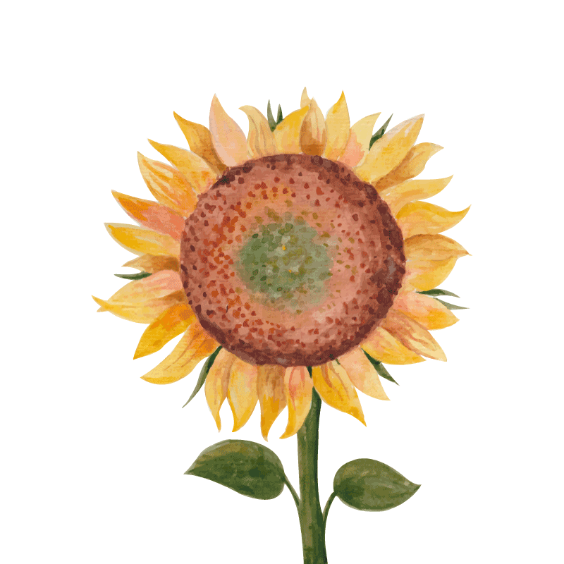 Cuadro flores Pintura de girasol - TenVinilo