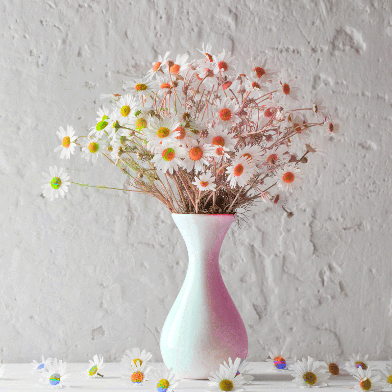 Quadro Decorativo de flores Flores da margarida em vasos colorido -  TenStickers