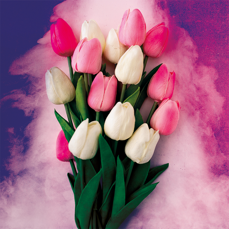 Cuadro flores Tulipanes de colores - TenVinilo