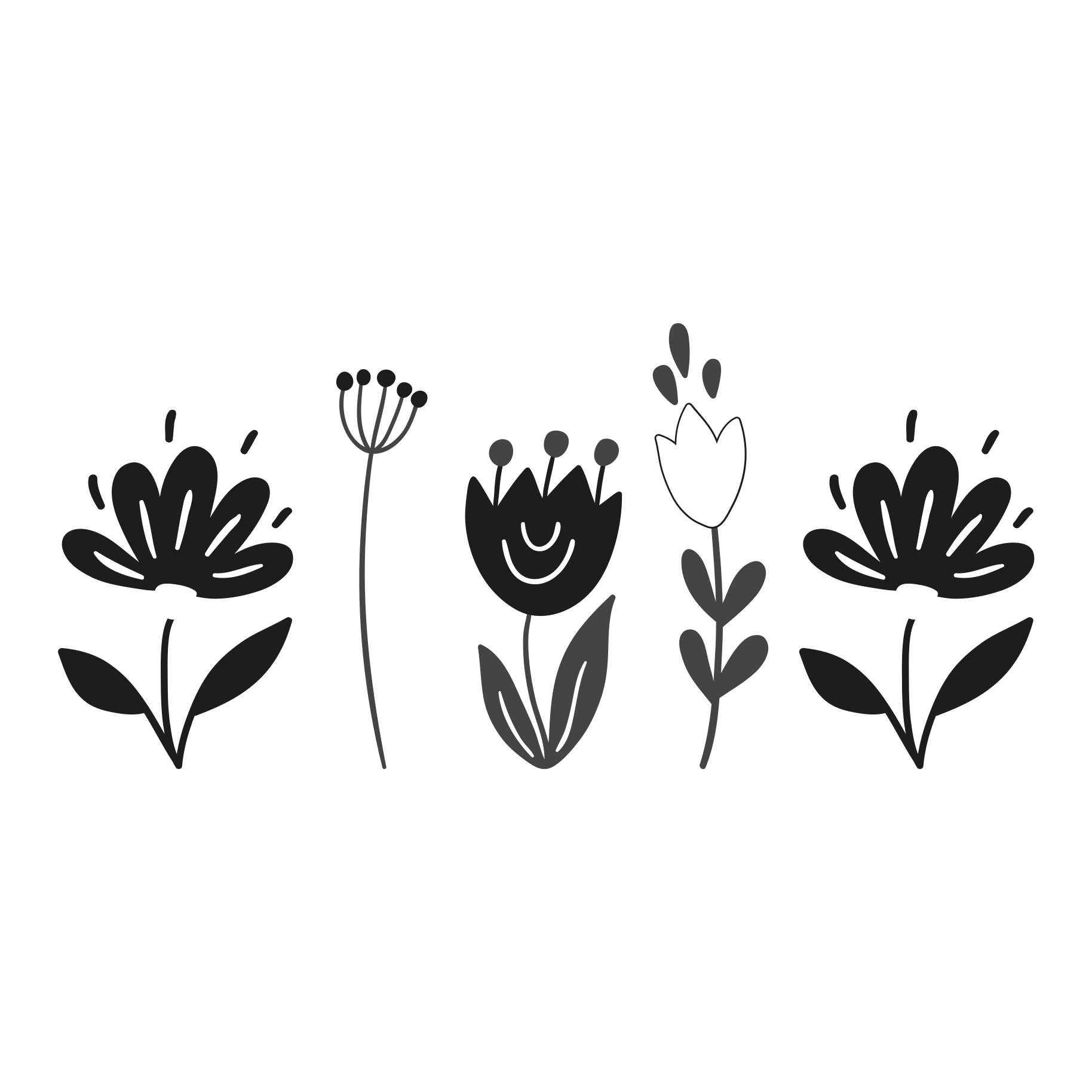 pin-by-asma-jameel-on-research-in-2021-black-and-white-flowers